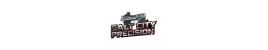 Salt City Precision